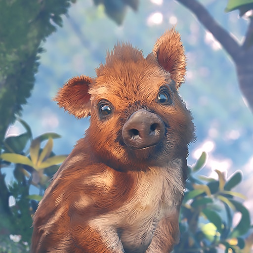 Adorable Adventures