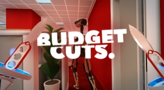 Budget Cuts