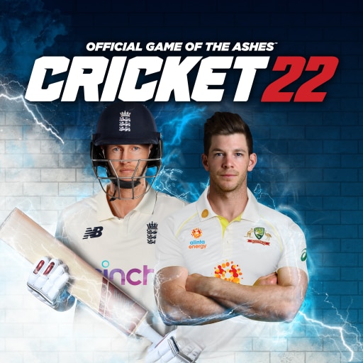 Cricket 22