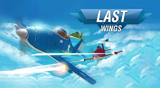 Last Wings