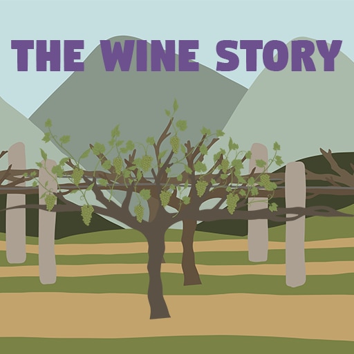 The Wine Story
