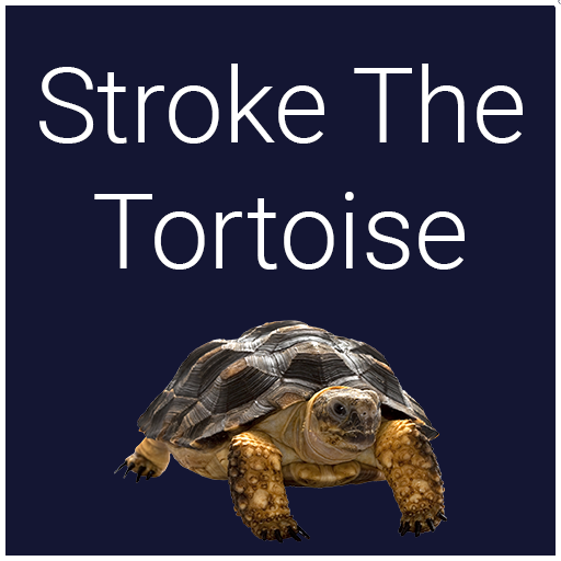 Stroke The Tortoise