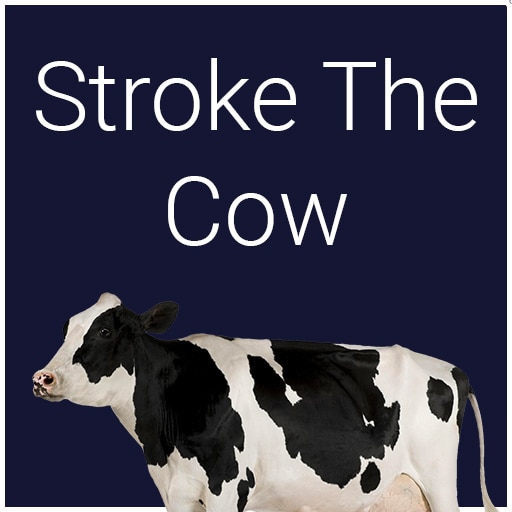 Stroke The Cow