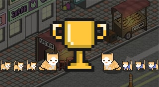 A street cat's tale
