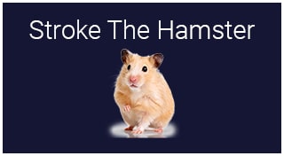 Stroke The Hamster