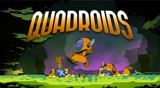 Quadroids