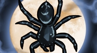 Spider: Rite of the Shrouded Moon