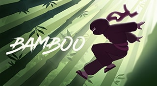 BAMBOO cover art