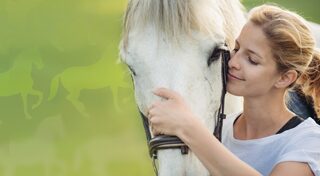 My Riding Stables 2: A New Adventure