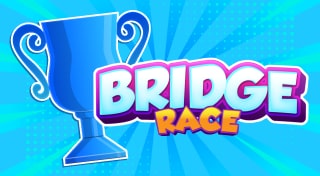 Bridge Race