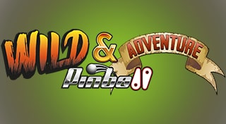Wild n Adventure Pinball