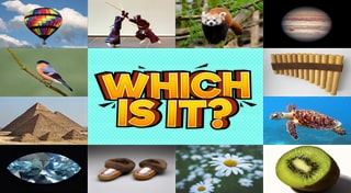 Which Is It?