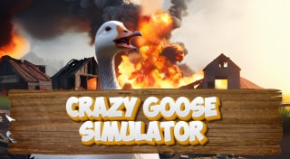 Crazy Goose Simulator