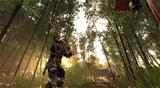 Shadow the Ronin