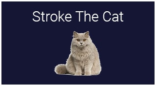 Stroke The Cat